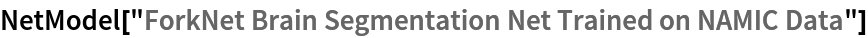 NetModel["ForkNet Brain Segmentation Net Trained on NAMIC Data"]
