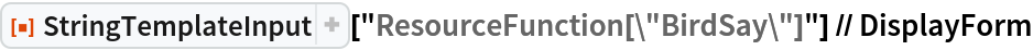 ResourceFunction["StringTemplateInput"][
  "ResourceFunction[\"BirdSay\"]"] // DisplayForm
