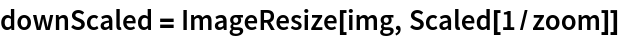 downScaled = ImageResize[img, Scaled[1/zoom]]