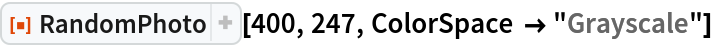 ResourceFunction["RandomPhoto"][400, 247, ColorSpace -> "Grayscale"]
