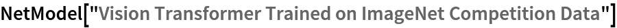 NetModel["Vision Transformer Trained on ImageNet Competition Data"]