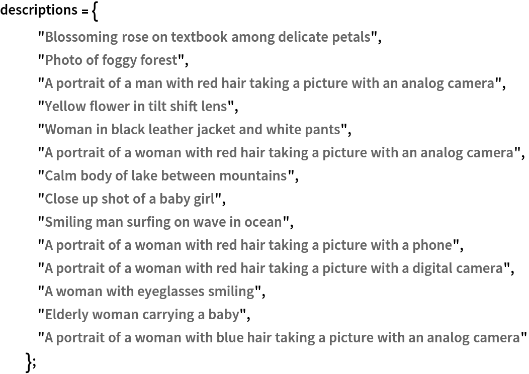 descriptions = {
   "Blossoming rose on textbook among delicate petals",
   "Photo of foggy forest",
   "A portrait of a man with red hair taking a picture with an analog camera",
   "Yellow flower in tilt shift lens",
   "Woman in black leather jacket and white pants",
   "A portrait of a woman with red hair taking a picture with an analog camera",
   "Calm body of lake between mountains",
   "Close up shot of a baby girl",
   "Smiling man surfing on wave in ocean",
   "A portrait of a woman with red hair taking a picture with a phone",
   "A portrait of a woman with red hair taking a picture with a digital camera",
   "A woman with eyeglasses smiling",
   "Elderly woman carrying a baby",
   "A portrait of a woman with blue hair taking a picture with an analog camera"
   };