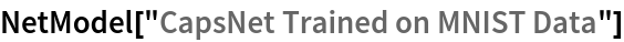 NetModel["CapsNet Trained on MNIST Data"]